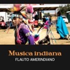 Musica indiana - Flauto amerindiano, viaggio sciamanico, flauto per rilassamento e benessere