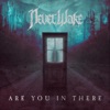 Are You in There - Single