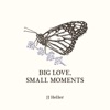 Big Love, Small Moments - Single