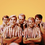 The Beach Boys