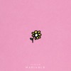 Marigold - Single