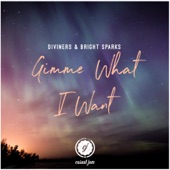 Gimme What I Want (feat. Bright Sparks) artwork