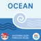 Ocean 7 - ABC Kids lyrics