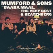 Mumford & Sons - Fool You've Landed