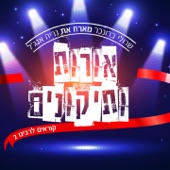 אורות ותיקונים (feat. נריה אנג'ל) artwork