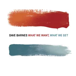 What We Want, What We Get (Bonus Track Version) - Dave Barnes