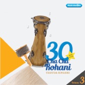 30 Cha Cha Rohani, Vol. 3 artwork