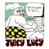 Juicy Lucy - Mr. Skin