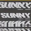 Sunny - Single album lyrics, reviews, download