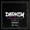 What's Going On (feat. Bru C) [Remixes] - EP album lyrics, reviews, download