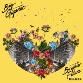 Brighter Future (Deluxe Version) artwork