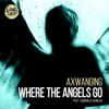 Where the Angels Go (feat. Gabriela Geneva) - Single