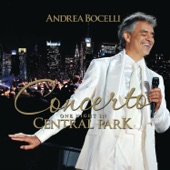 Amazing Grace (Live At Central Park, 2011) artwork