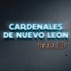Belleza De Cantina by Cardenales De Nuevo León iTunes Track 5