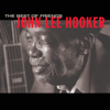 Chill Out (Things Gonna Change) [feat. Carlos Santana] - John Lee Hooker