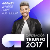 Where Have You Been (Operación Triunfo 2017) artwork