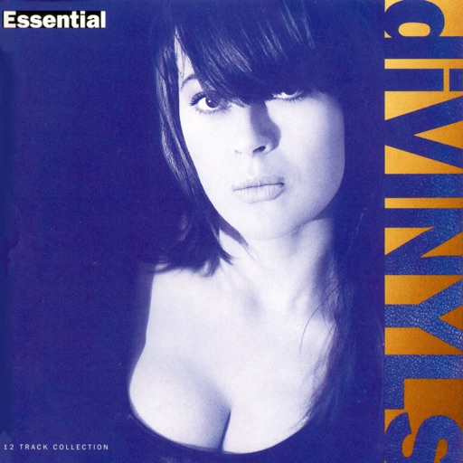 Art for Pleasure And Pain by Divinyls