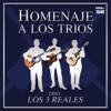 Homenaje A Los Trios