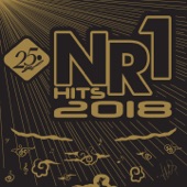 NR1 Hits 2018 artwork