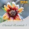 Souvenir in D Major (Arr. for Violin & Orchestra) artwork