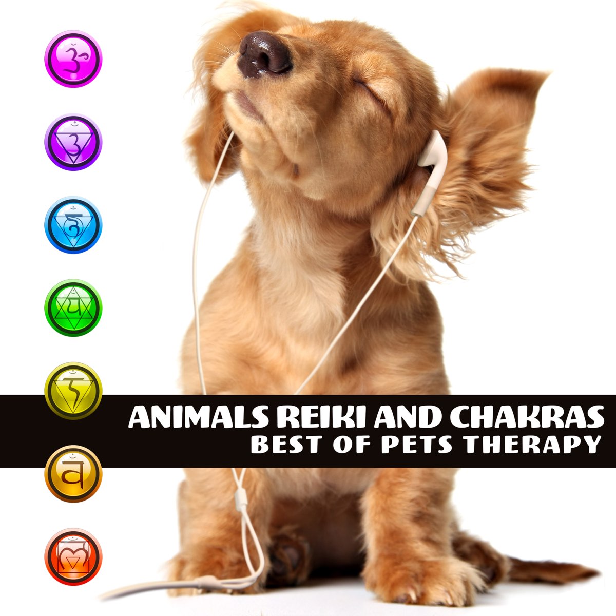 Animals Reiki and Chakras: Best of Pets Therapy, 30 Soothing Sounds for  Calm Down and Relax by Pet Care Club & Reiki Healing Zone on Apple Music