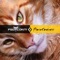 Flavia Cavalcanti - Fed Conti lyrics