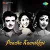 Paadha Kaanikkai (Original Motion Picture Soundtrack)