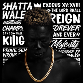 Reign cover