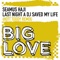 Last Night a DJ Saved My Life (Hot Toddy Remix) - Seamus Haji lyrics