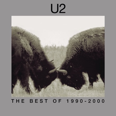 The Best of 1990-2000 - U2