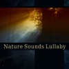Nature Sounds Lullaby – Restful & Serene Music to Help You Sleep, Natural Ambiences, Blissful Repose, Restoration, Evening Meditation