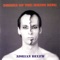 The Man in the Moon - Adrian Belew lyrics