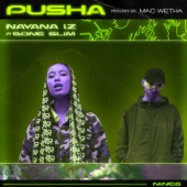 Pusha (feat. Bone Slim) artwork