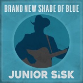 Brand New Shade of Blue artwork