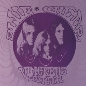 Blue Cheer - Second Time Around