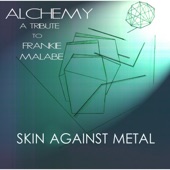 Skin Against Metal artwork
