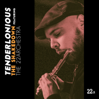 Tenderlonious - The Shakedown (feat. The 22archestra) artwork