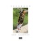 Saucegod - SauceGod lyrics