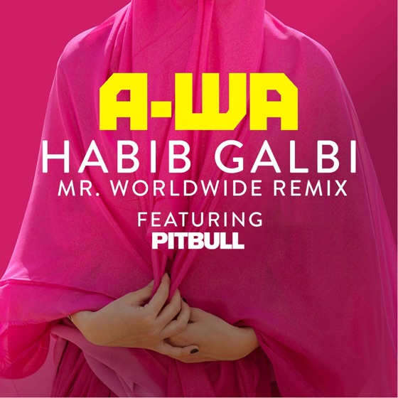 Cover artwork for Habib Galbi (feat. Pitbull) [Mr. Worldwide Remix]