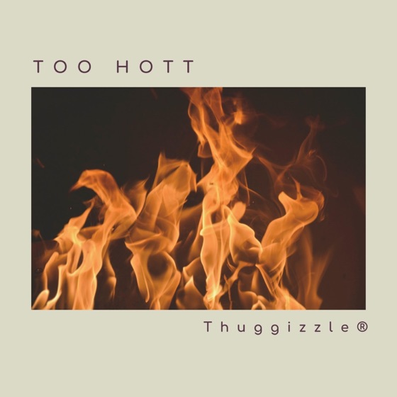 Cover artwork for Too Hott
