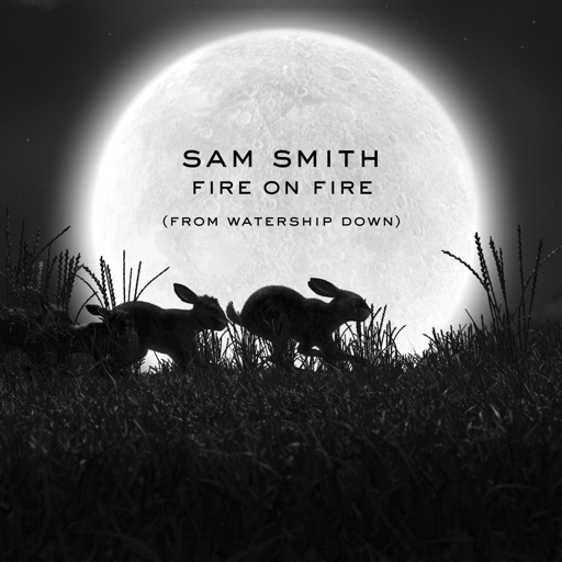 Fire on Fire - Single Fire on Fire - Single