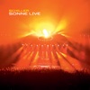 Schiller - Blind
