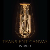 Transient Canvas - Year Without a Summer