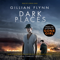 Gillian Flynn - Dark Places artwork