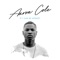 Cole (Intro) [feat. Th3 Saga] - Aaron Cole lyrics