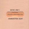 Who Am I (Animatrix Edit) - Single artwork