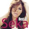 Best Of Seka