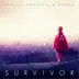 Survivor - Single album cover