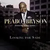 Stream & download Looking for Sade (Remix) [feat. Boney James] - Single