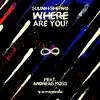 Where Are You? (feat. Andreas Moss) song lyrics